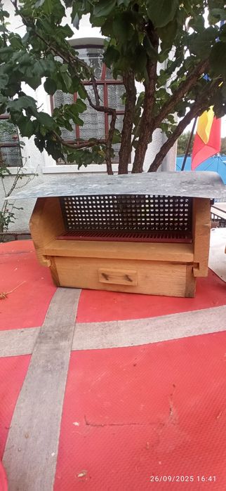 Vind colector polen tip Sălaj