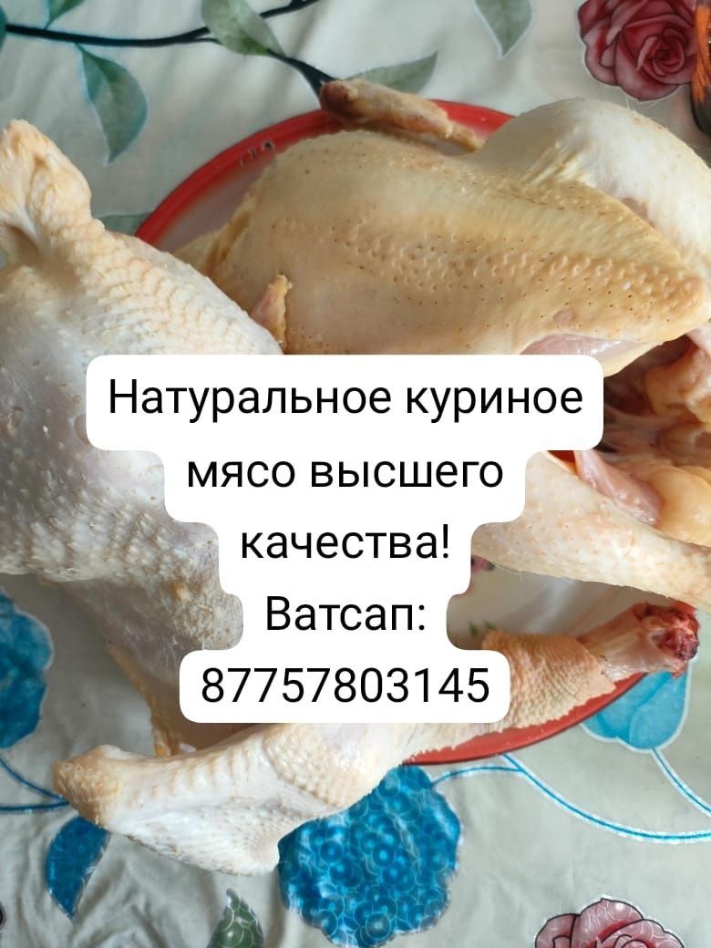 Продаются мясо бройлеров