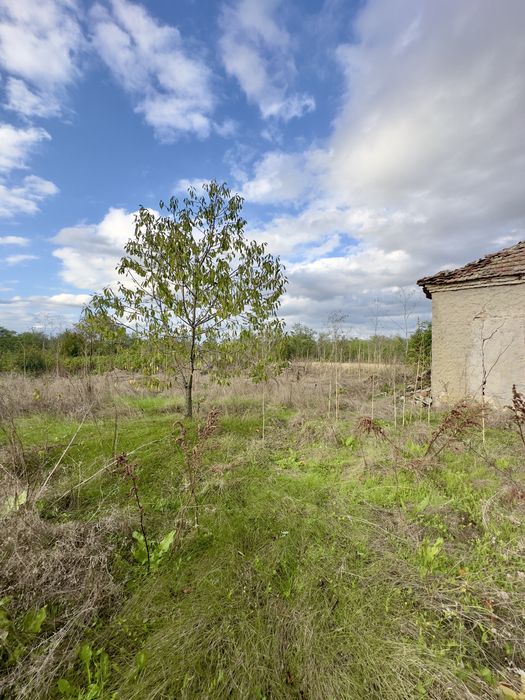 Продава се Къща в с. Преспа, Област Добрич - 3 кв.м за 23800 €/кв.м - Снимка #2