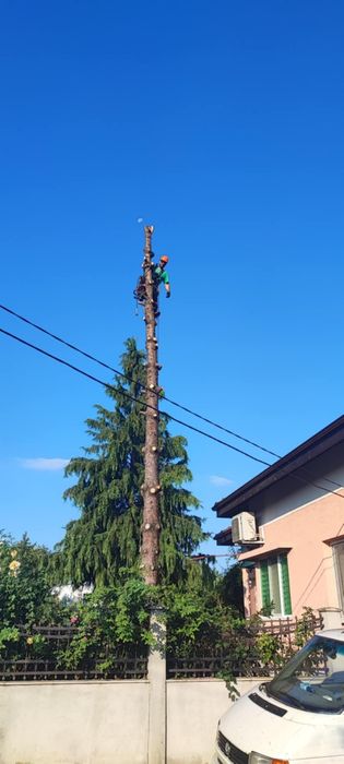 Рязане, кастрене и почистване на терени!