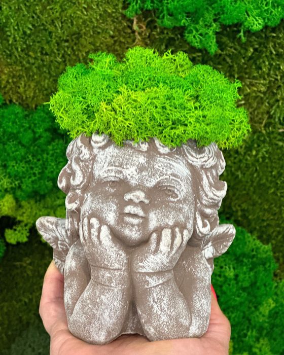 Decoratiuni cu licheni