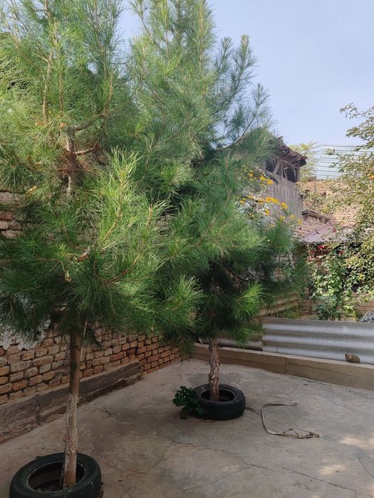 Продам участок Греческий городок