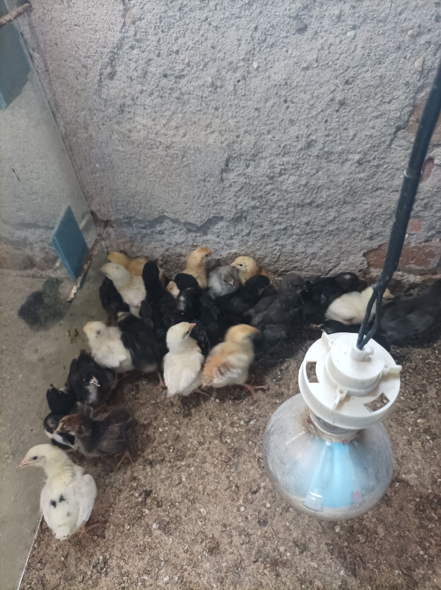 Продавам пилета.