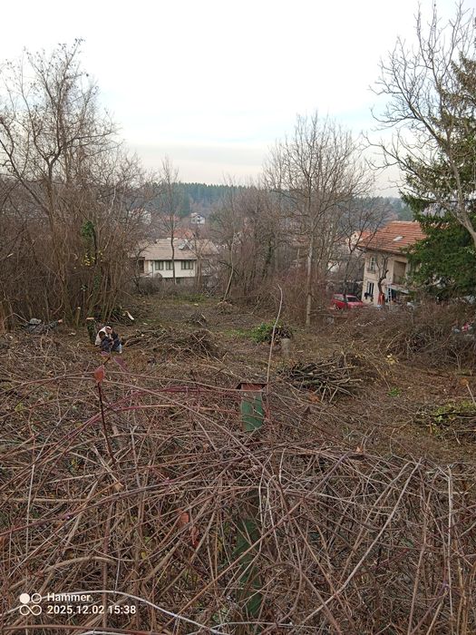 Изнасяне на клони