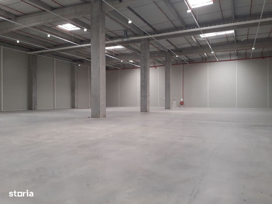 Bd. Th. Pallady - 1700mp - ISU - comision 0