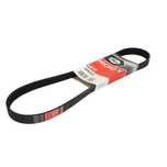 Curea transmisie cu caneluri Peugeot EXPERT Van 222 1995-2016 02890313