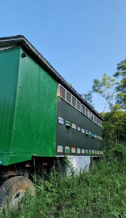 Vand Pavilion apicol