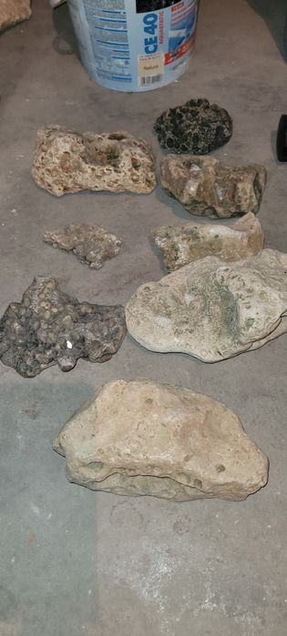 Vând pietre calcaroase de decor pentru acvariu sau terariu