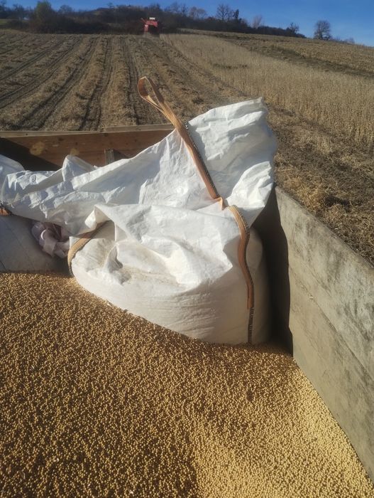 Soia recolta 2025 de vânzare!