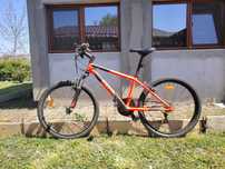 Bicicleta mountain bike