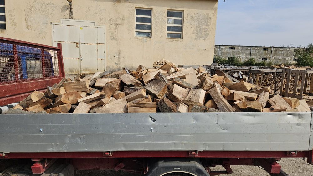 Lemn de foc fag uscat