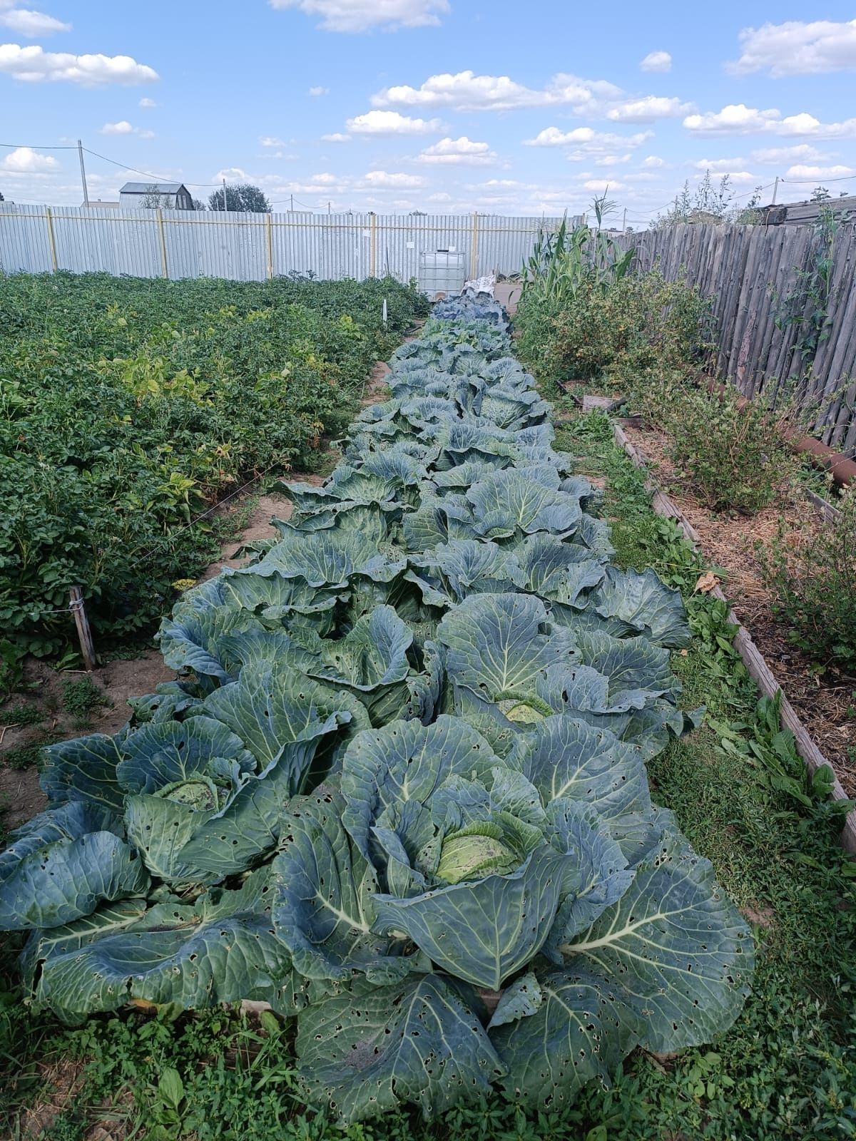 Продам дачу на федоровке два совмещённых участка