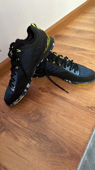 Сороконожки новые