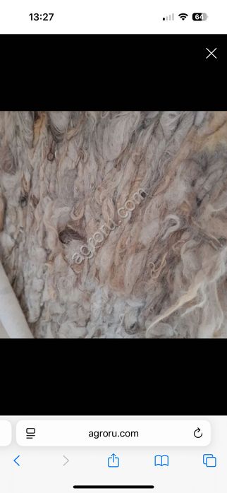 Овечья шерсть мериноса