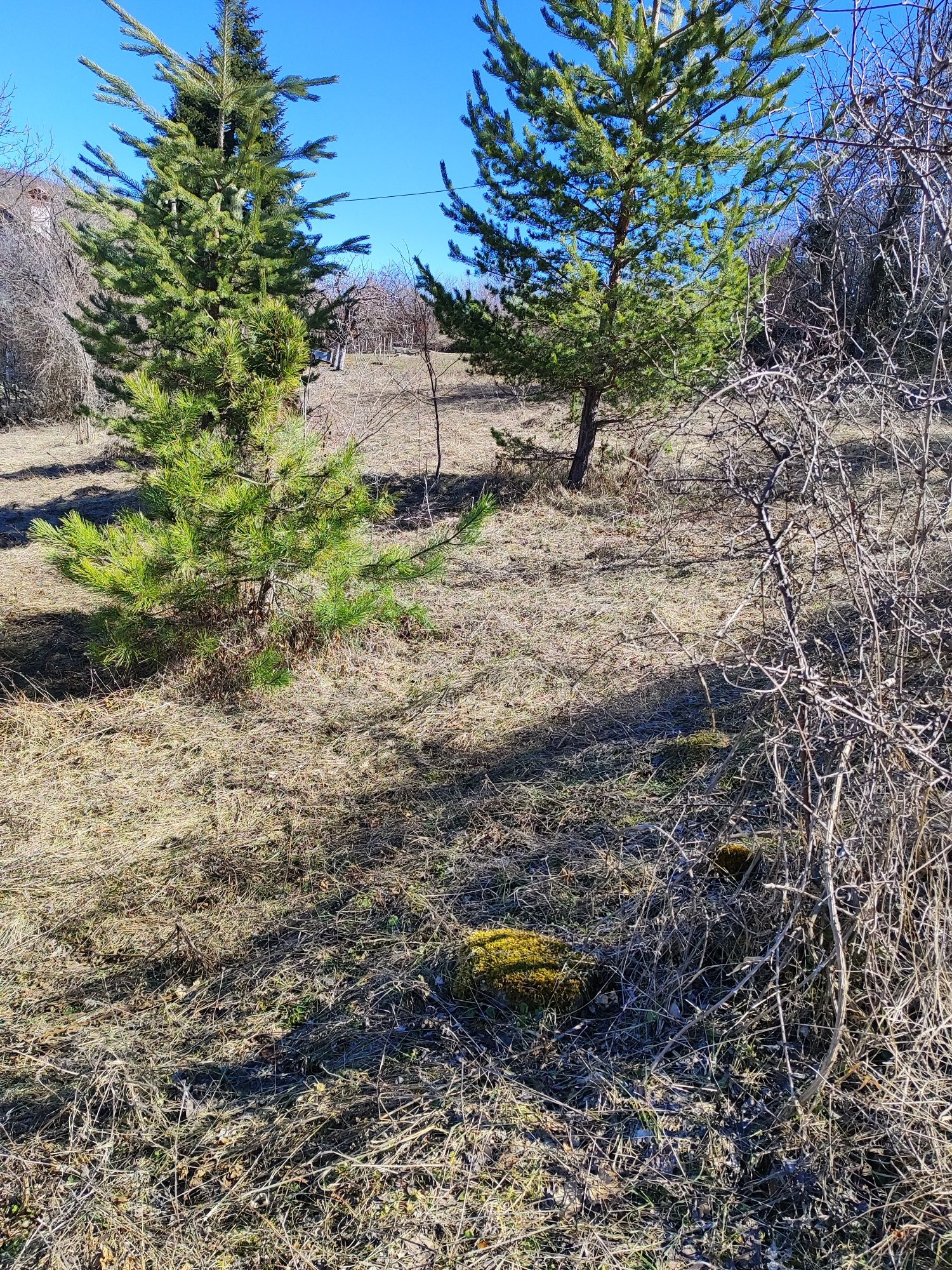 Парцел УПИ с Лясково