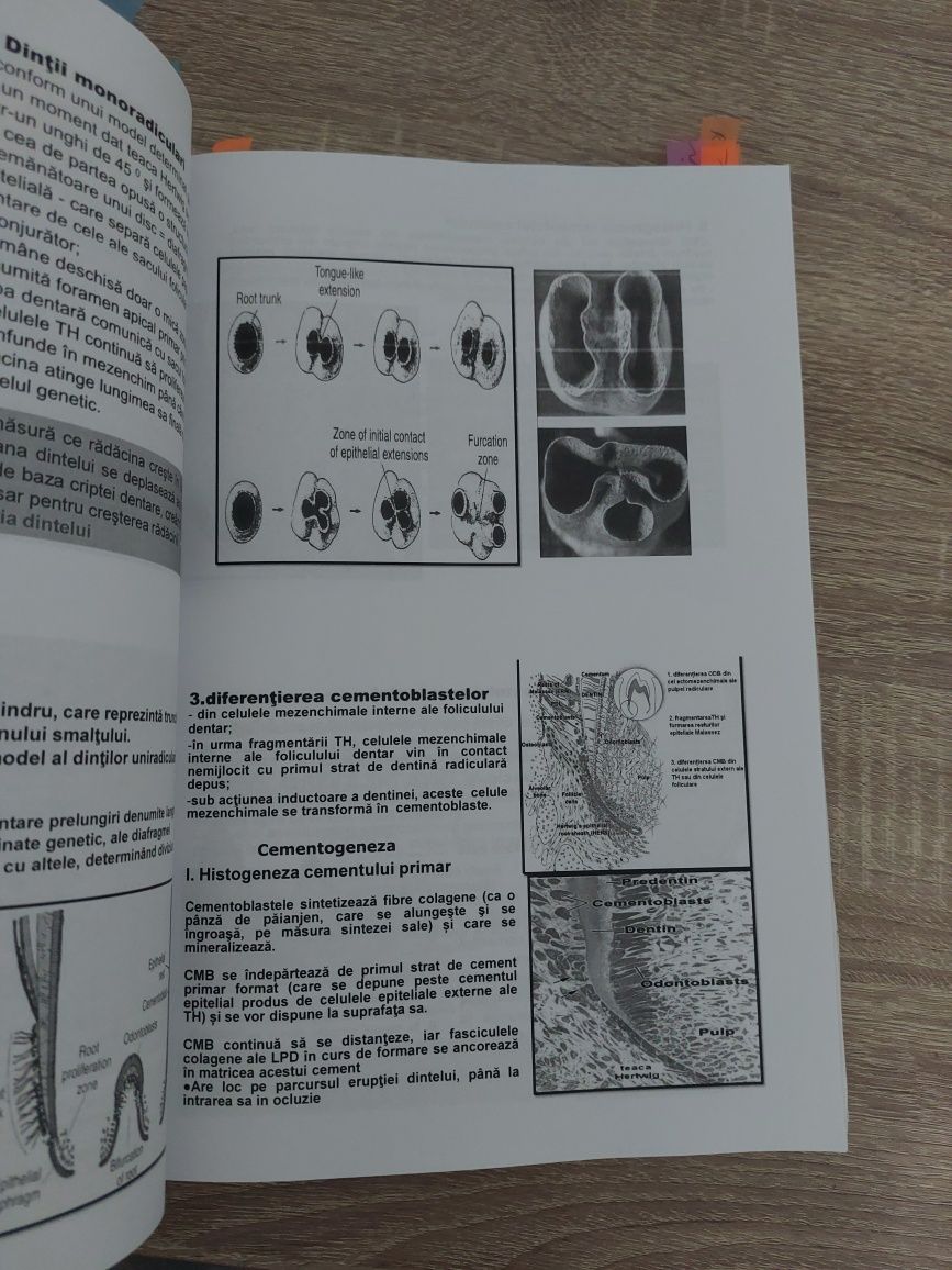 Carti histologie