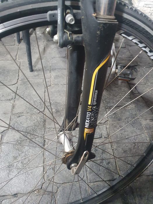 Bicicleta Kelly  Coach