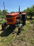 Vand/ schimb tractor Universal 445