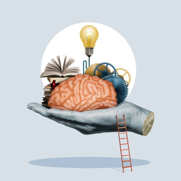 Meditații română, matematică și engleză