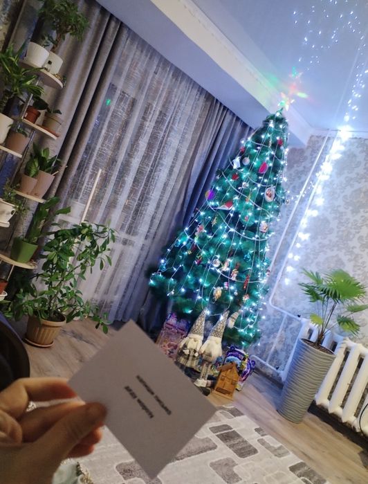 Продам ёлку цена 15 000,забирать в 20мкрн Уалиханова 25