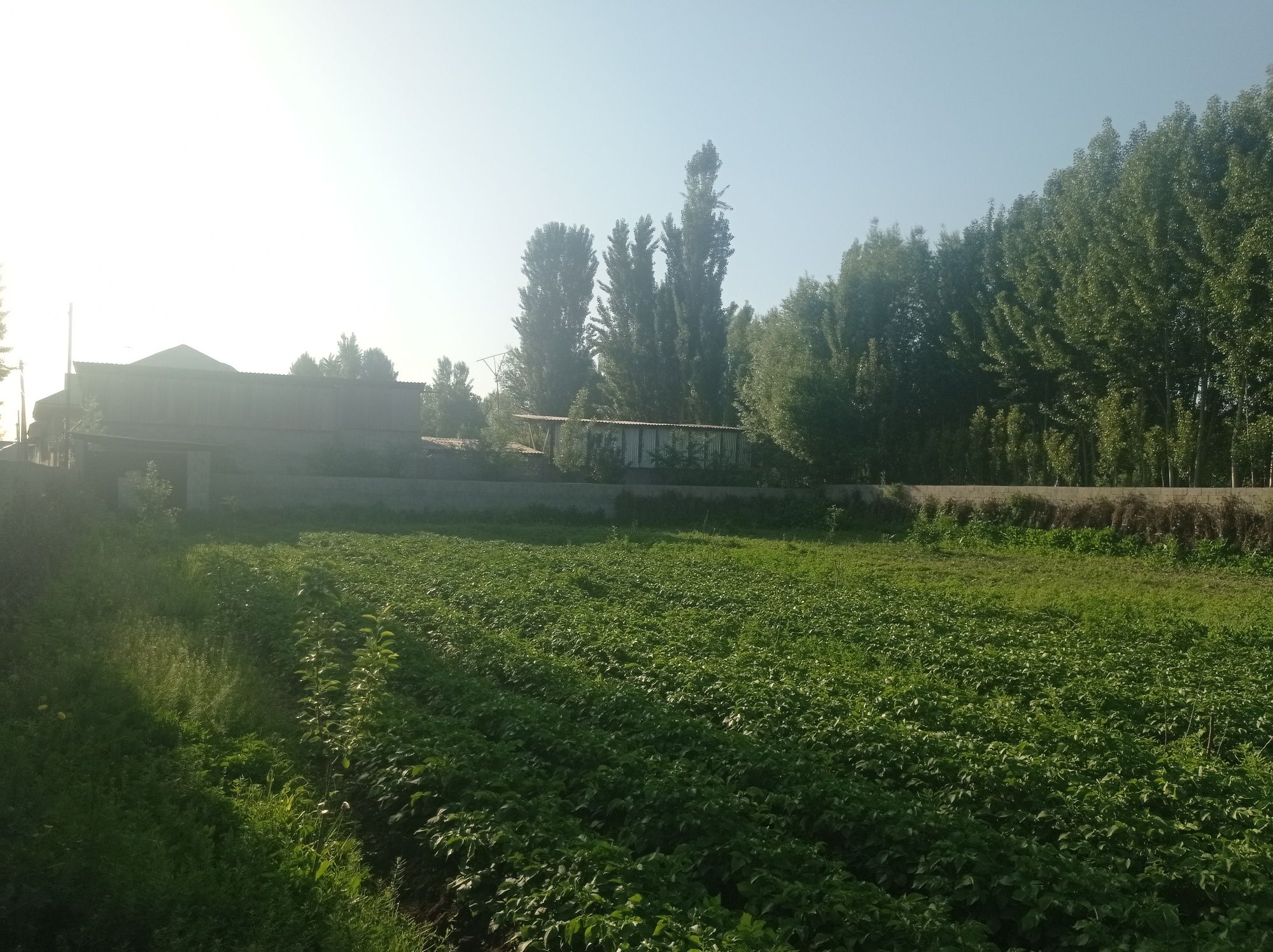 Quruq yer chek sotiladi