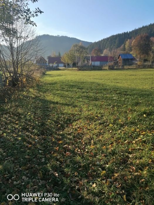 Teren de Vânzare in Sadova