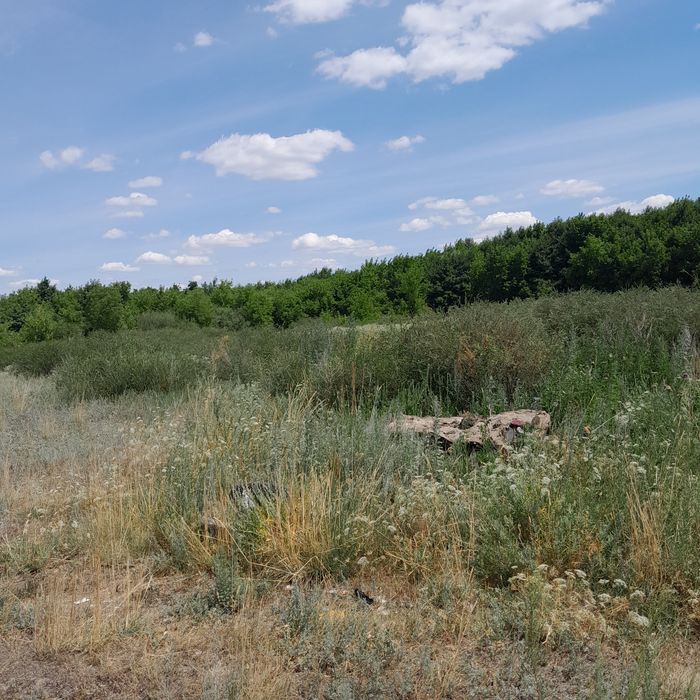 Продам или меняю землю 20 соток на автомобиль Прадо Тойота