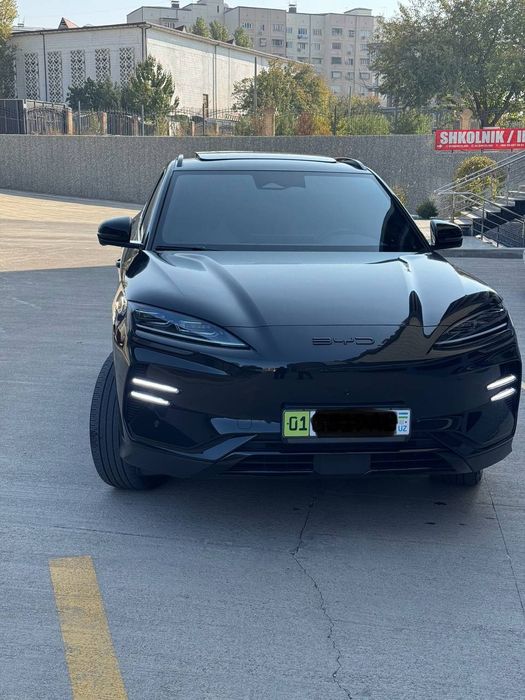 BYD champion HONOR pozitsiya