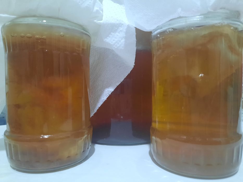 Kefir de apa, Kombucha, JUN- kit starter