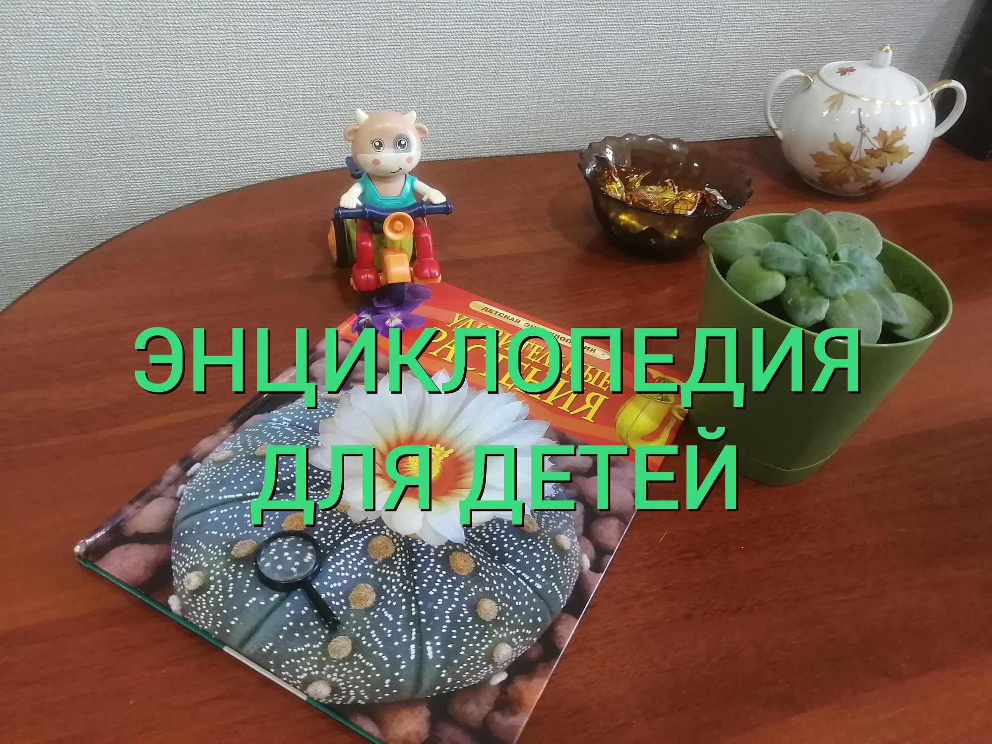 Энциклопедия для детей