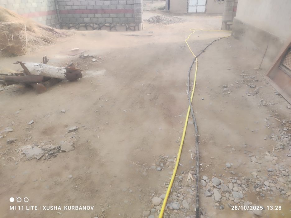 bekorchilar bezota qimangla