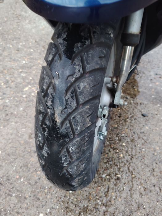 Vind scuter Rex de 50cp