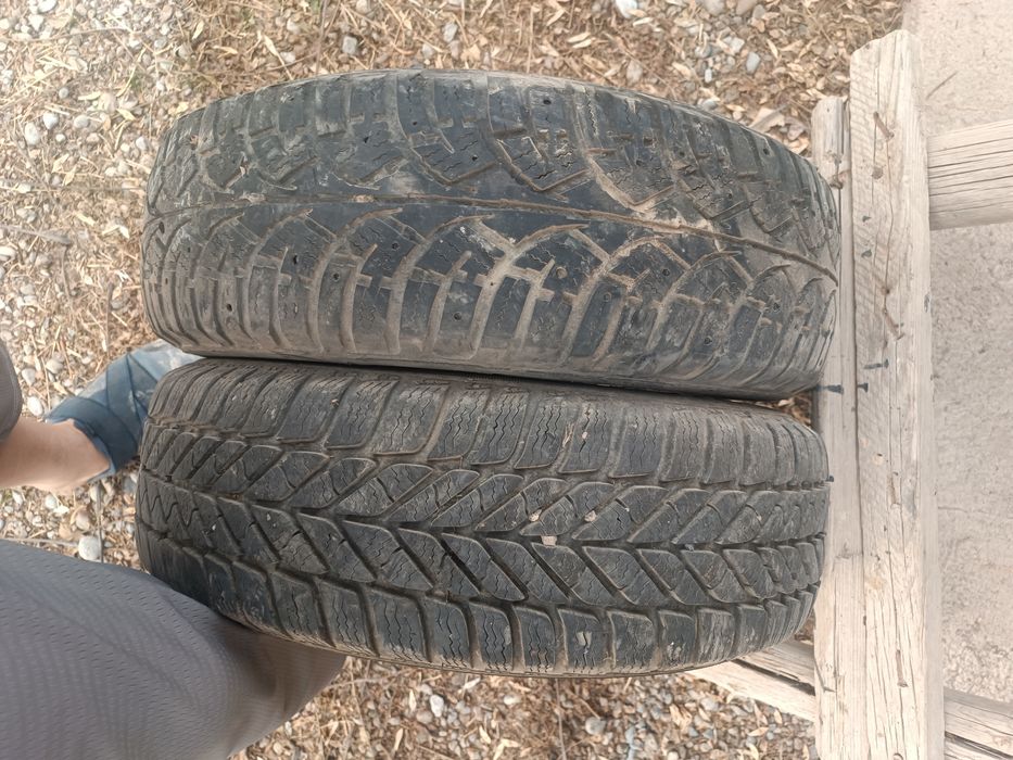 Шины  жагдаиы жаксы