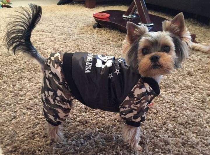 Дрехи за големи кучета