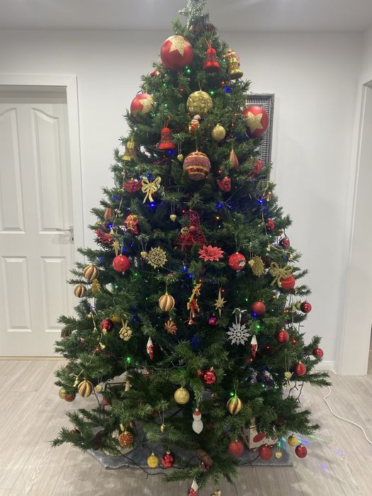 Brad cu conuri si fructe rosii 2,3 m