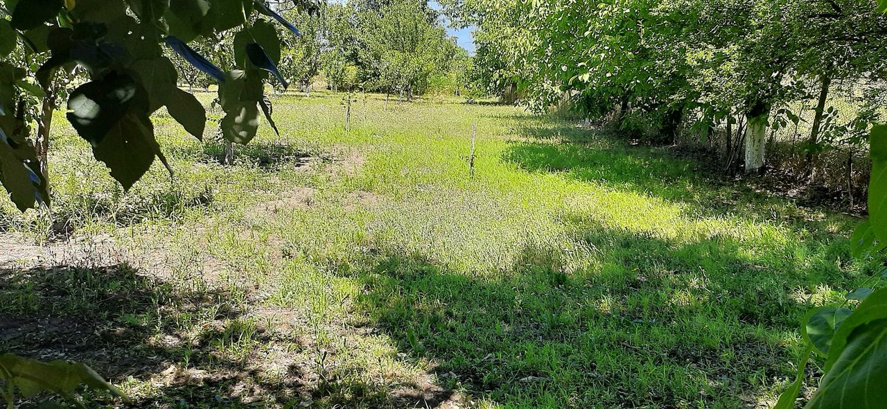 Продава се Къща в с. Съединение, Област Търговище - 42 кв.м за 304 €/кв.м - Снимка #7