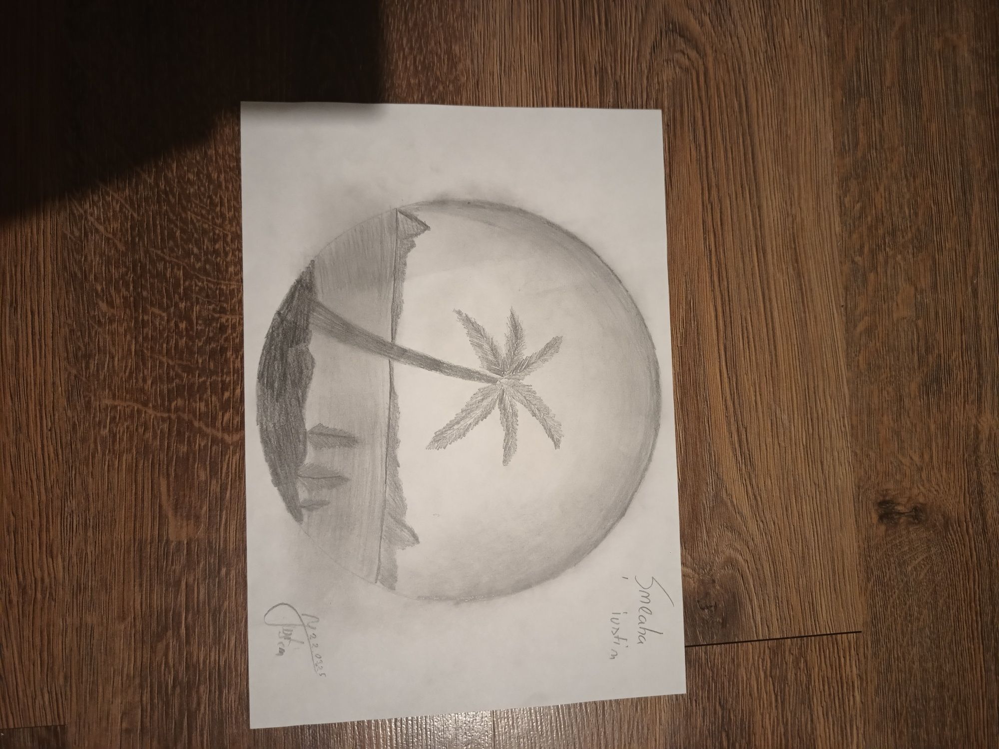 De vânzare desene in creion 15-20 lei