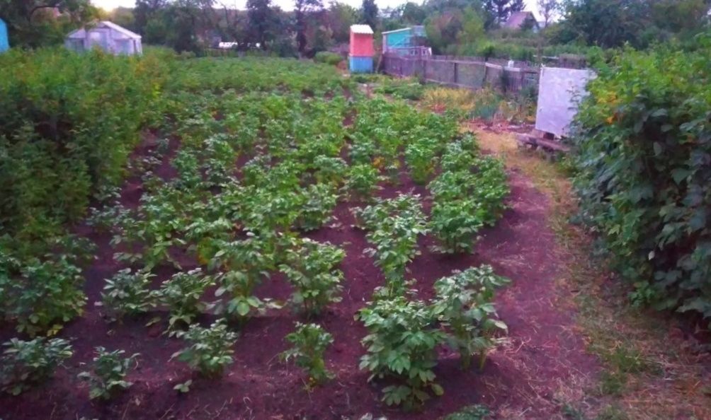 Продам дачу с домиком