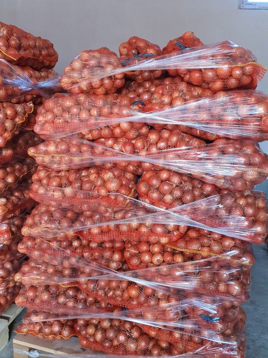 Ceapa rotunda diamant