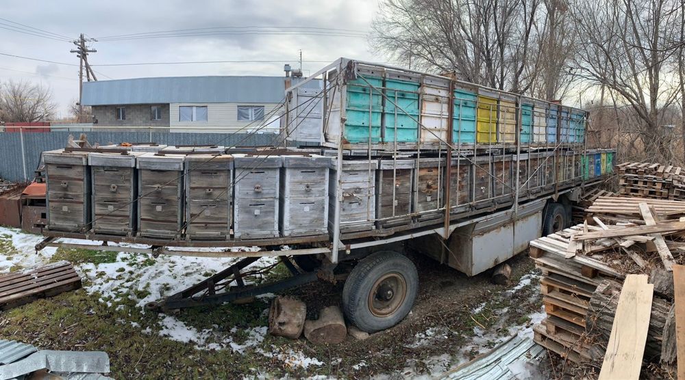 Продам пчёла прицеп