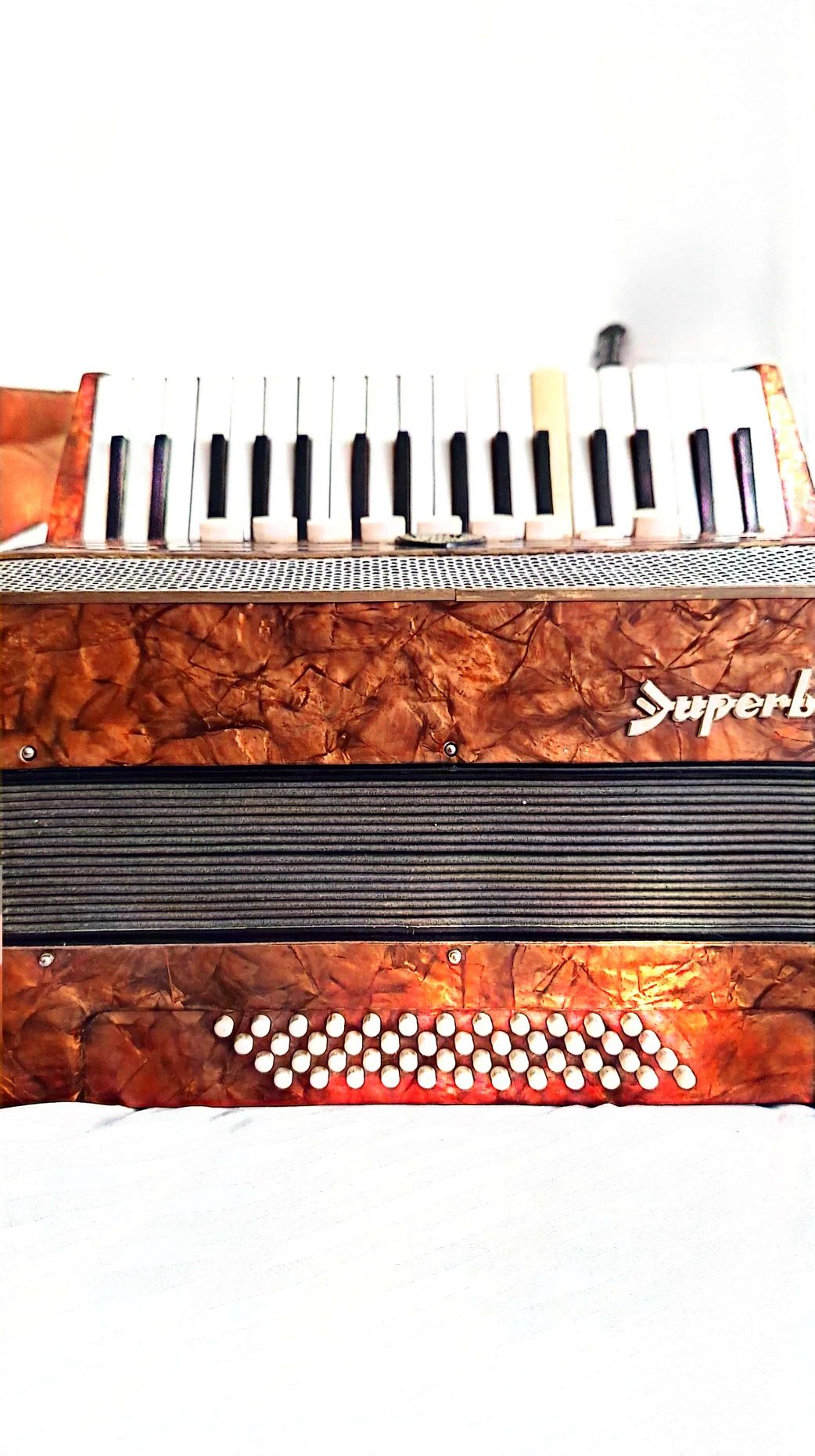 Acordeon Timiș superb