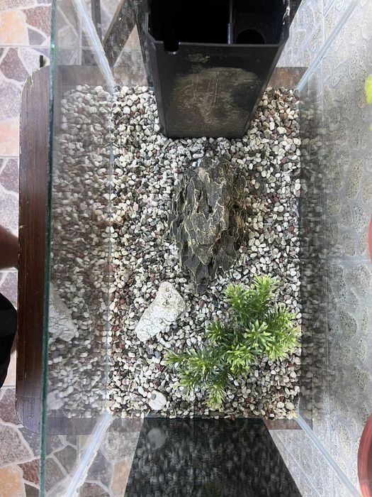 Аквариум Hailea E25 25 литра + Оборудване