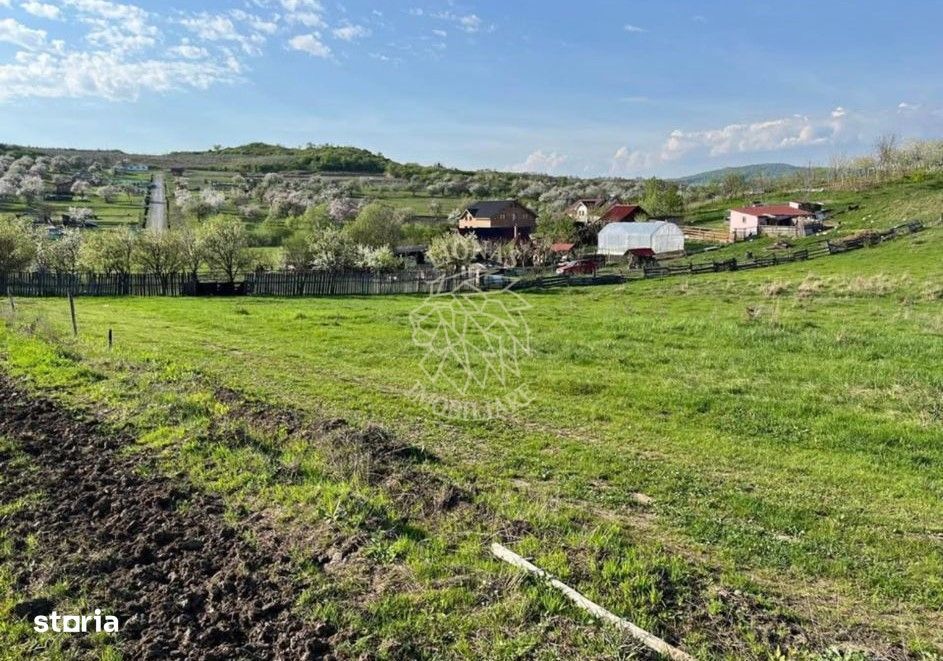 Teren 3300 mp-investitie, case de vacanta, agricultura-Valea Sigmirulu