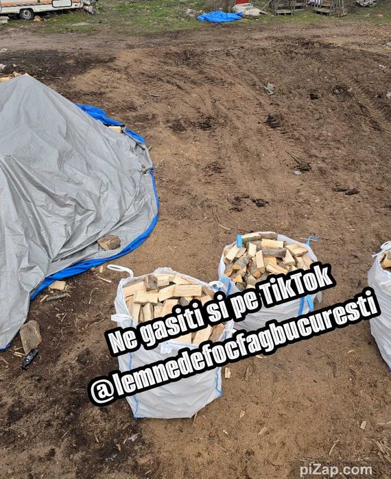 Lemne de foc fag  Big-Bags, cu transport gratuit in Bucuresti + 50 km