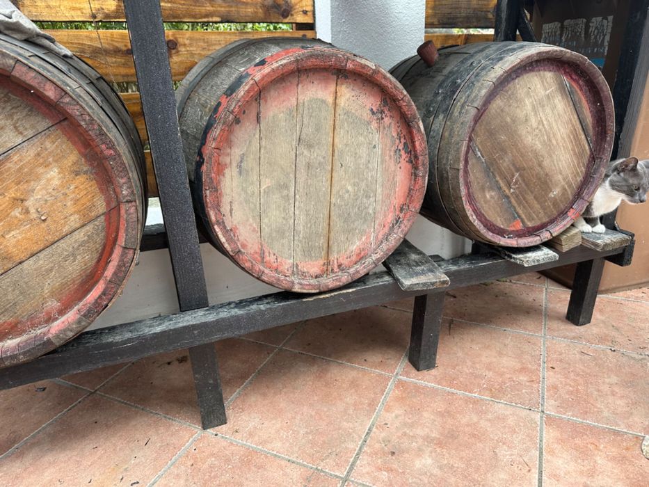 Butoaie  pt VIN SI TUICA CONDITII FOARTE BUNE (ne am mutat in oras)