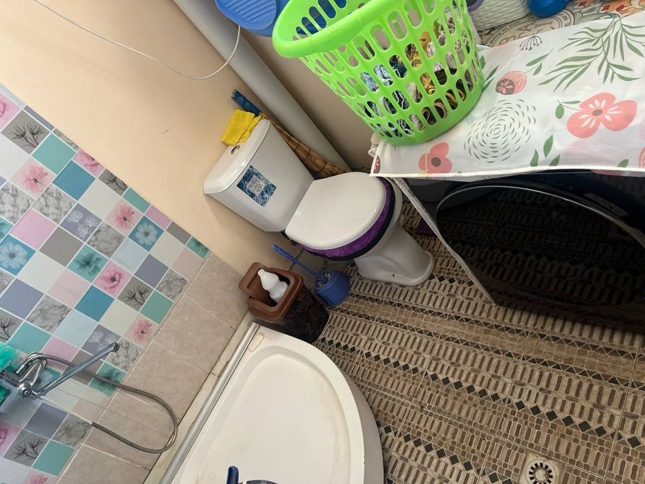 Судент Кизлар куяман