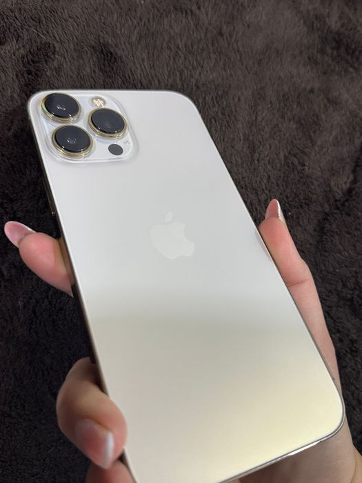 Iphone 13 Pro Max 256Gb