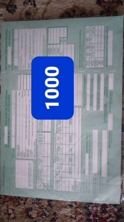 Путевой лист грузового