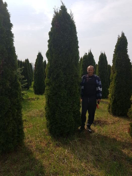 Va oferim o gama foarte mare de plante ornamentale se ofera livrare