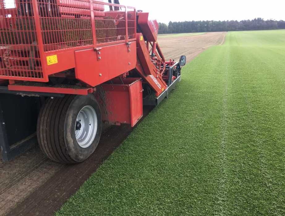 Gazon Rulou Calitate extra , Oferim transport oriunde in tara !